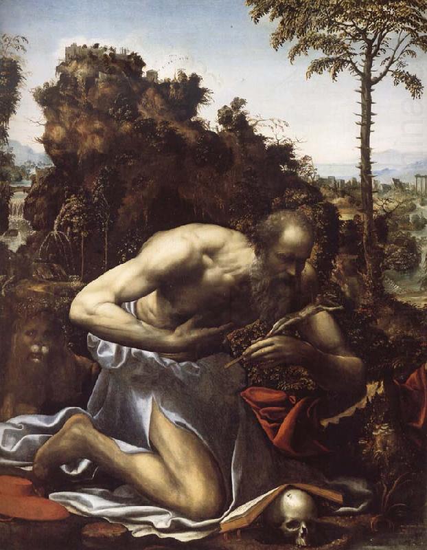 SODOMA, Il Saint Jerome in Penitence china oil painting image
